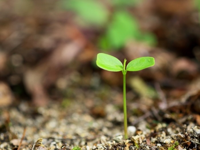 検事から弁護士に転職する方法と手続き