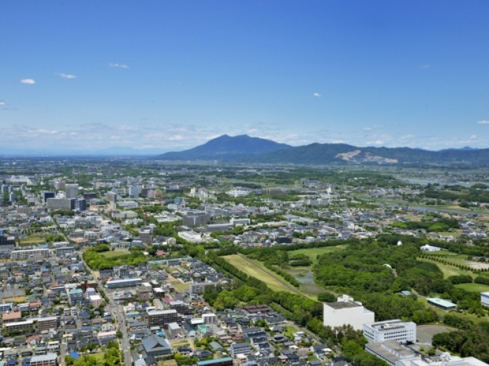 弁護士の地方就職の実態とは