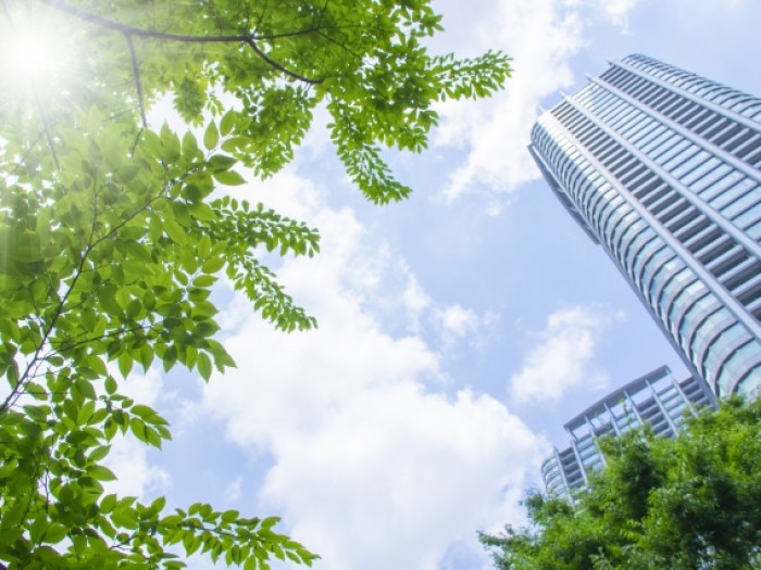 弁護士の仕事は楽しい？弁護士の魅力と大変さを紹介