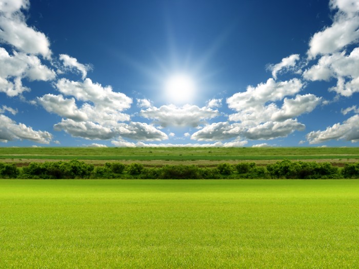 弁護士の転職ストーリー13　ブティック型事務所から大手渉外事務所へ転職